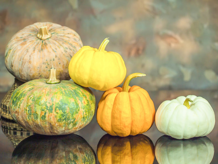 still life color-full little pumpkinsの写真素材