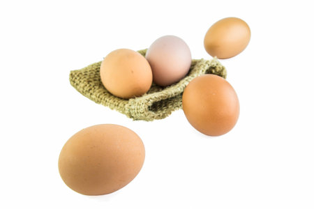 Fresh Egg With Burlap Sack Harvest on with background の写真素材