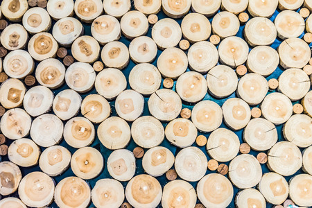 tree stumps backgroundの写真素材