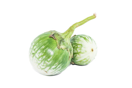 Green Eggplantの写真素材