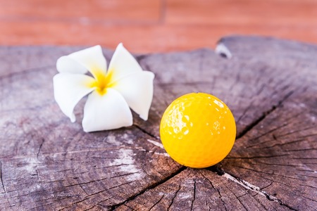 Still life Yellow Miniature Golf Ball On White Background.の写真素材