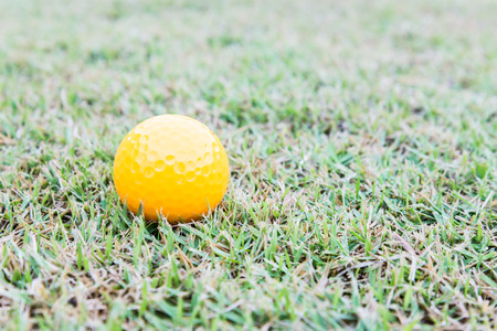 golf-ball on courseの写真素材