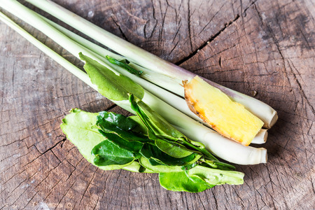 Tom yum ingredientの写真素材