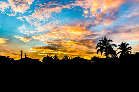 Silhouette tree on sunrise clouds. texture sunrise clouds. early morningの写真素材