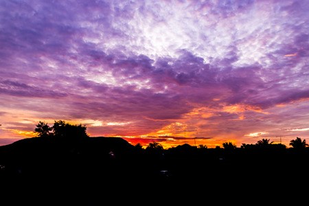 Silhouette tree on sunrise clouds. texture sunrise clouds. early morningの写真素材