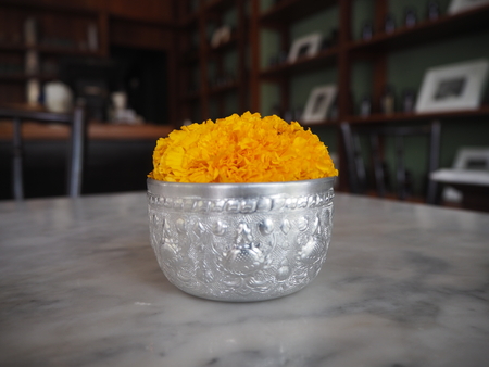 Flowerの写真素材