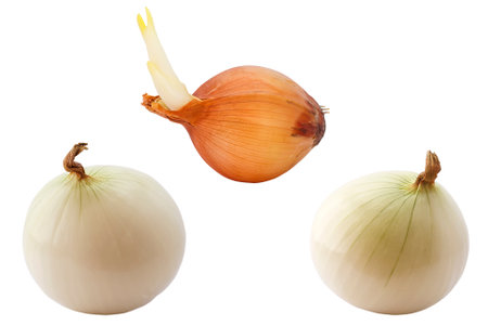 onion isolated on the white background with clipping path. studio. photo icon.の写真素材