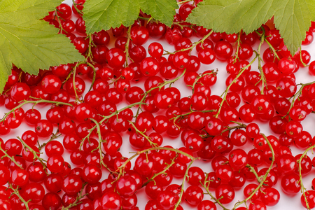 Background of ripe juicy red currant berries. Top view - horizontal photoの写真素材