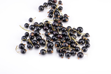 Solated berries. Bunch of black currant fruits with leaf isolated on white backgroundの写真素材
