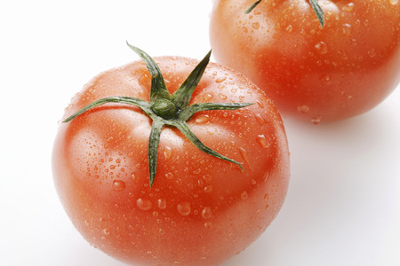 tomatoの写真素材