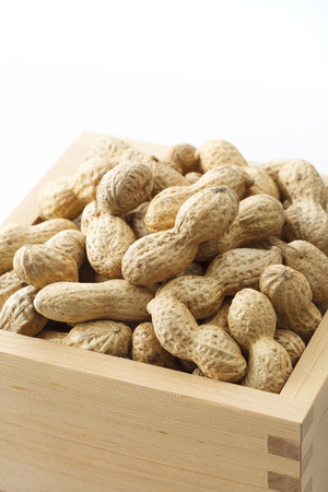 Peanutの写真素材