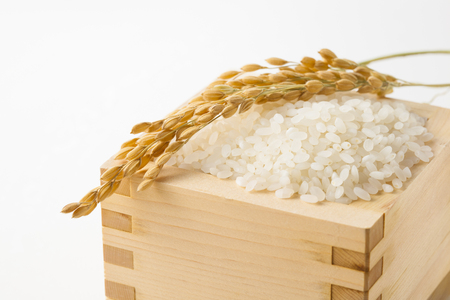 Japanese riceの写真素材