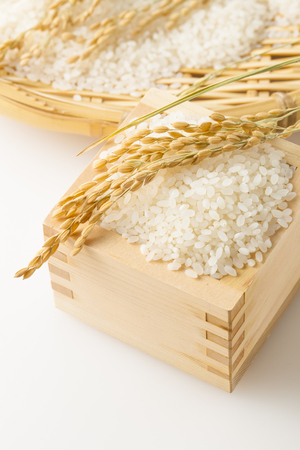 Japanese riceの写真素材