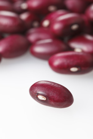 Red kidney beanの写真素材