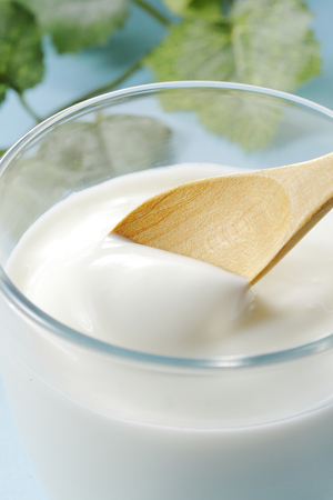 Yogurtの写真素材