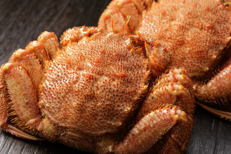 Hair crabの写真素材