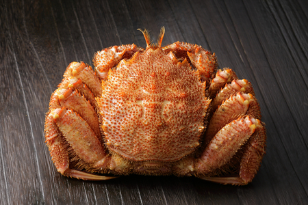 Hair crabの写真素材