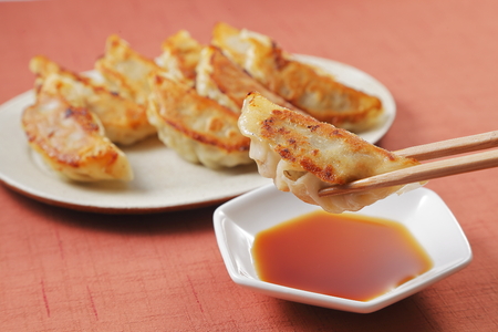 Gyoza grilled dumplingsの写真素材