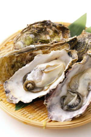 Oystersの写真素材