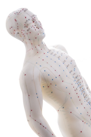 Learning acupuncture must be in such a acupuncture practice on the modelの写真素材