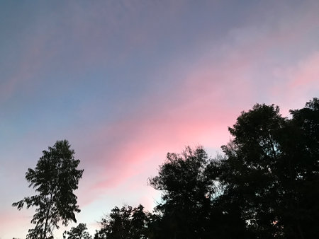 sky in townの写真素材