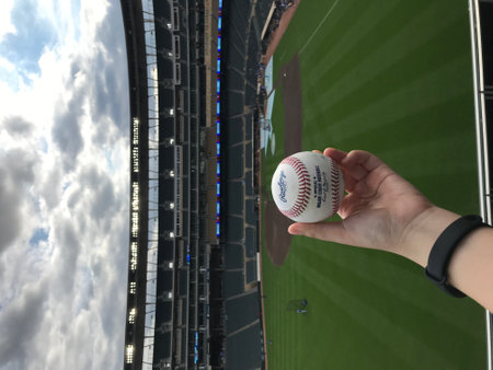 baseball stadiumの写真素材