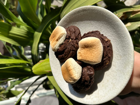 tasty sweet dessertの写真素材