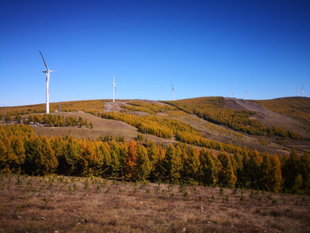 natural landscape with windmill