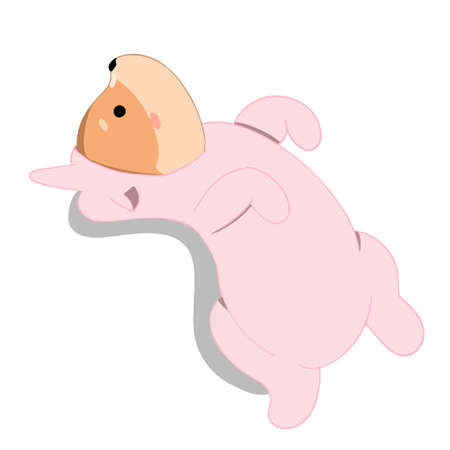 shiba inu in pajamas lies on his back and looks awayのイラスト素材