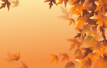 orange autumn background with leaves located at the right edge vectorのイラスト素材