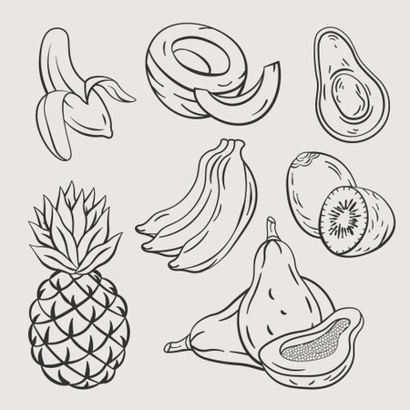 tropical fruits hand drawing sketch vector and coconutのイラスト素材