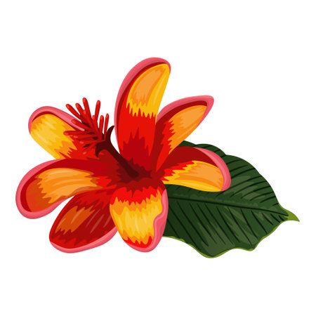 vector image of red-yellow lilium flowerのイラスト素材