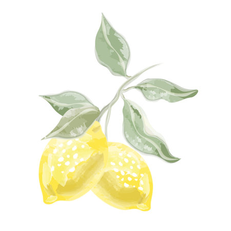 composition of two watercolor lemons with leavesのイラスト素材