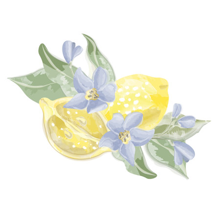 composition lemon cut with flowers and leavesのイラスト素材