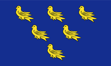 The historic flag of Sussexのイラスト素材