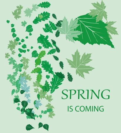 The arrival of springのイラスト素材