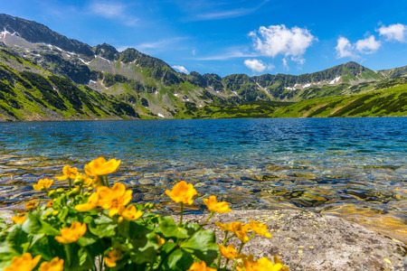 Mountains landscape, Lake in the mountainsの写真素材
