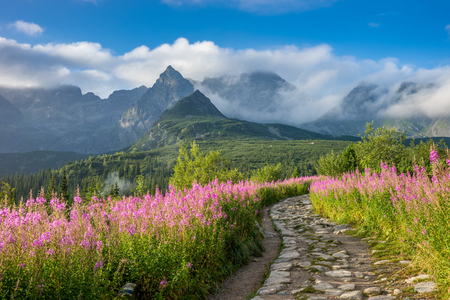 Tatra mountains landscapeの写真素材