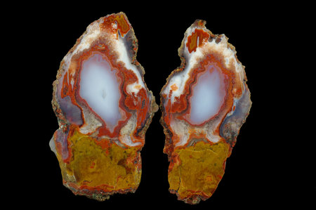 A cross section of the agate stone. Multicolored silica rings colored with metal oxides are visible....