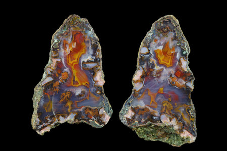 A cross section of the agate stone. Multicolored silica bands colored with metal oxides are visible....