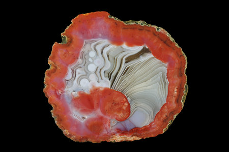 A cross-section of agate. Red shades in the outer part. In the center a snow-white chalcedony is...