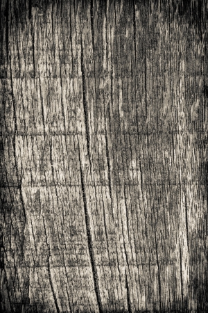 Beautiful background with natural woodの写真素材