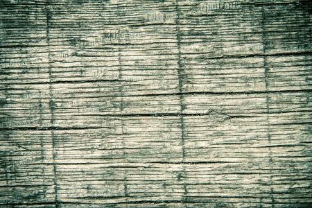 Beautiful background with natural woodの写真素材