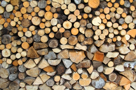 Wall from dry firewoodの写真素材