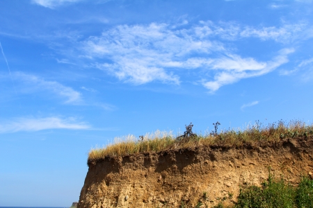 The image of the clay seashore with grassの写真素材