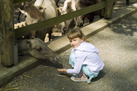 The girl feeds a horseの写真素材
