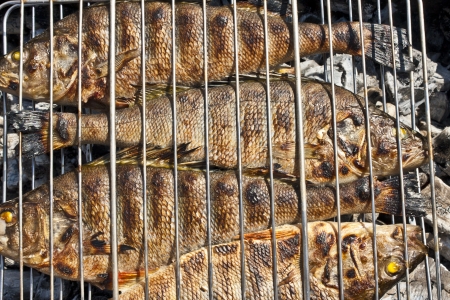 fish, roasted on the coals in the lattice for fryingの写真素材