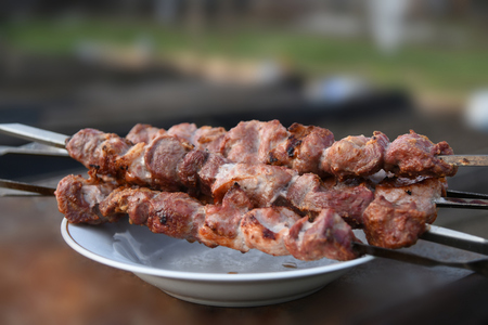 On the plate lie three fragrant shish kebab.の写真素材
