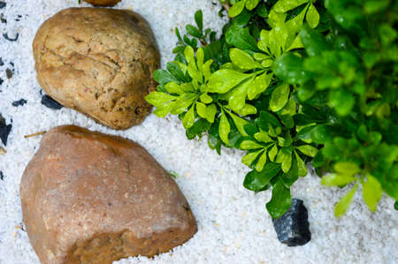 Zen, small garden with decorative stones and small white pebbles decorate the ground. including small green leavesの写真素材