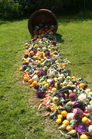 Tulip from Pralormo Castle (TO), Italyの写真素材